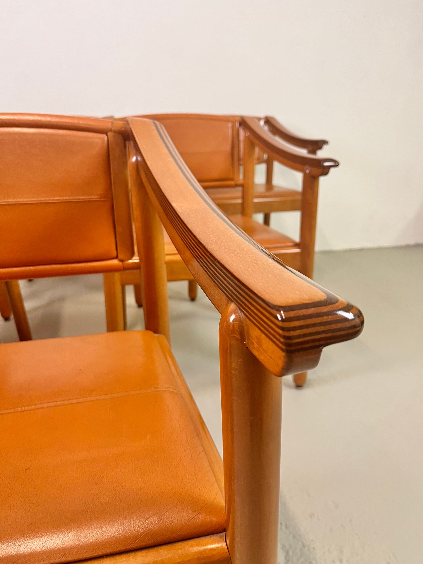 Sedie in stile Maxalto