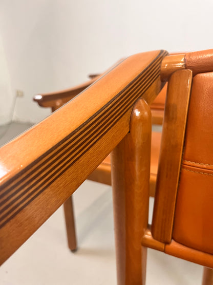 Sedie in stile Maxalto