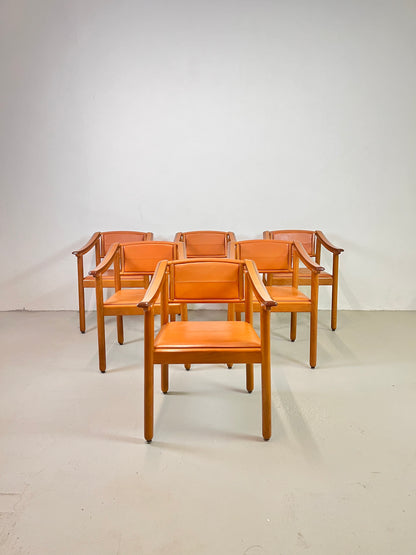 Sedie in stile Maxalto